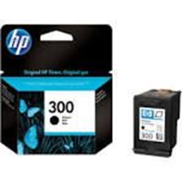 Cartuccia Originale HP 300 Nero CC640EE