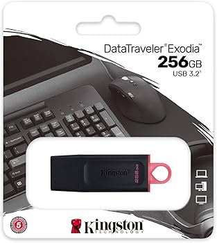 71Y4cv5Y9oL._AC_UF350,350_QL80_ Pendrive Kingston Exodia 256GB USB 3.2 DTX/256GB